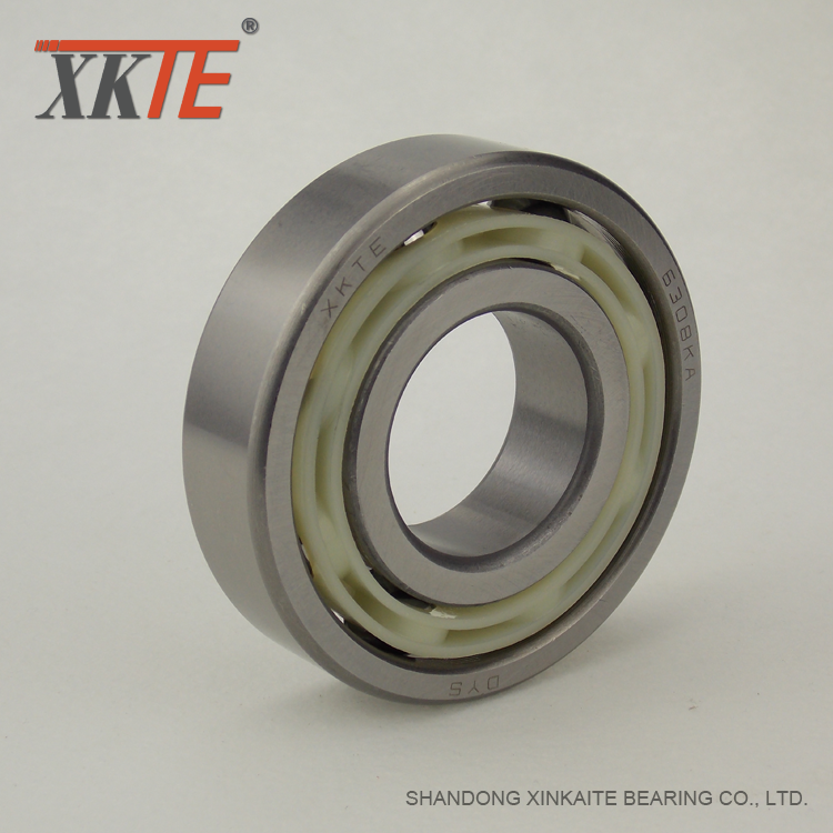 PA66 Cage Bearing